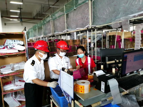 廣州海關跨境電商進出口業務 領跑貿易高質量發展的引擎