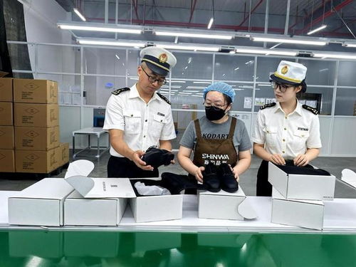 前7個月泉州市保稅物流進出口業務突破百億元大關，同比增長19.7%